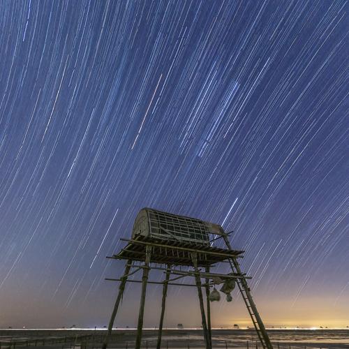 Photo #4507505