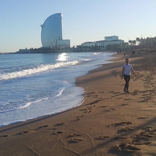 Photo #4507588