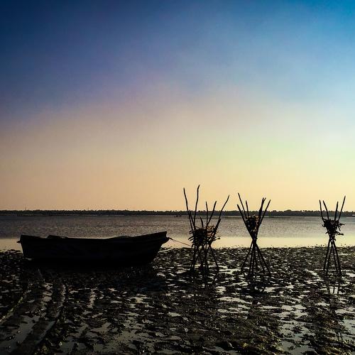 Photo #4507741