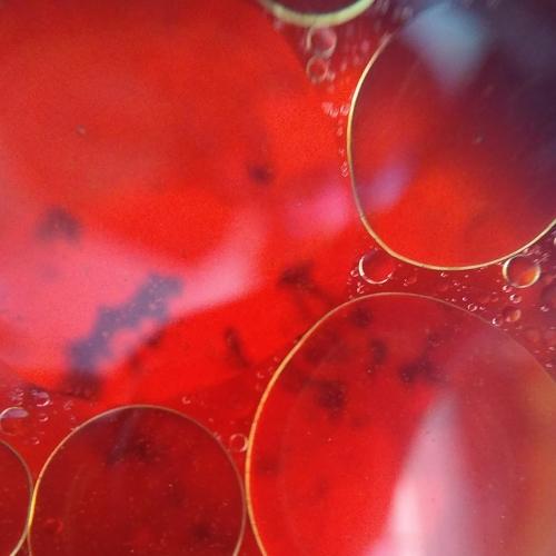 Photo #4507919