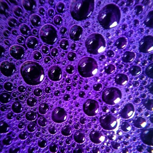 Photo #4507926