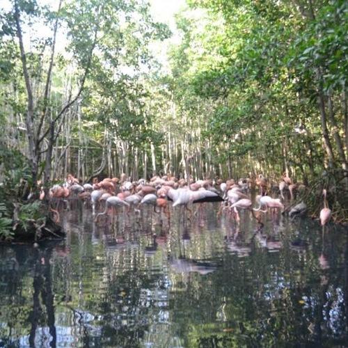 Photo #4508564