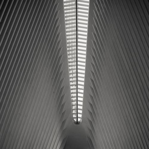 Фотография #4508597