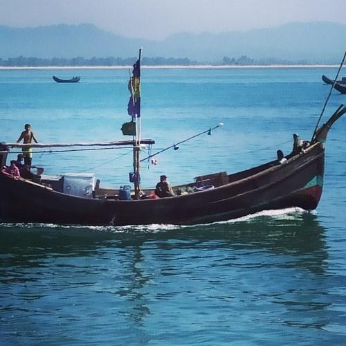 Photo #4508683