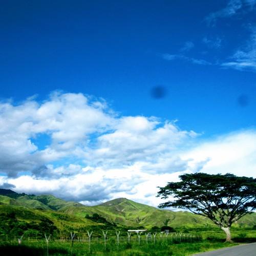 Photo #4508832