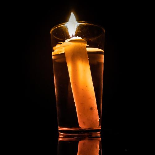 Photo #4508851