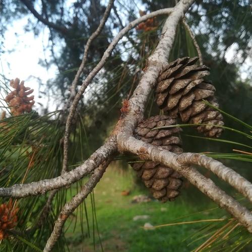 Photo #4508901
