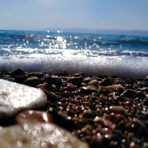 Photo #4509328