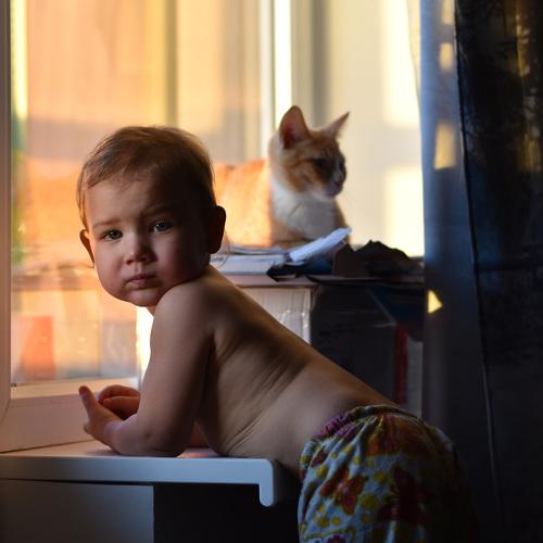 Photo #4509367