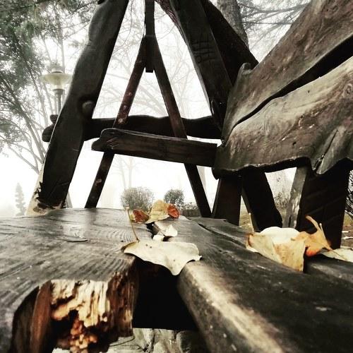Photo #4509834