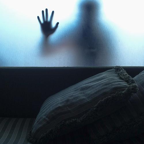 Photo #4509885