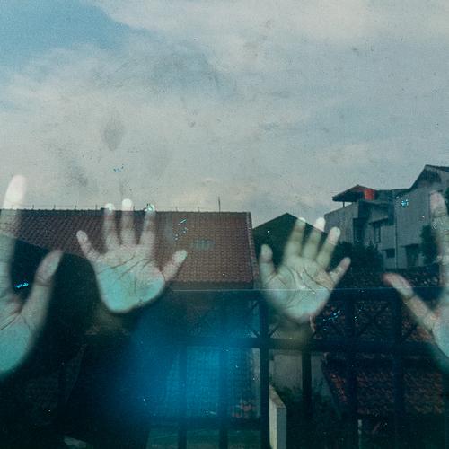 Photo #4509886
