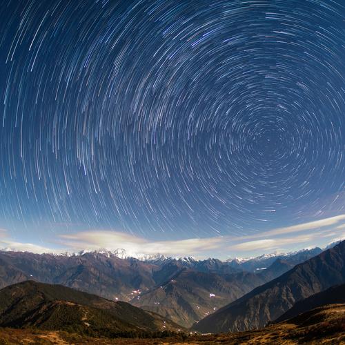 Photo #4510005