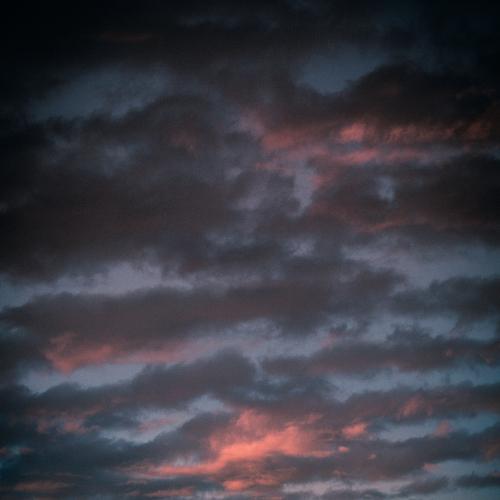 Photo #4510032