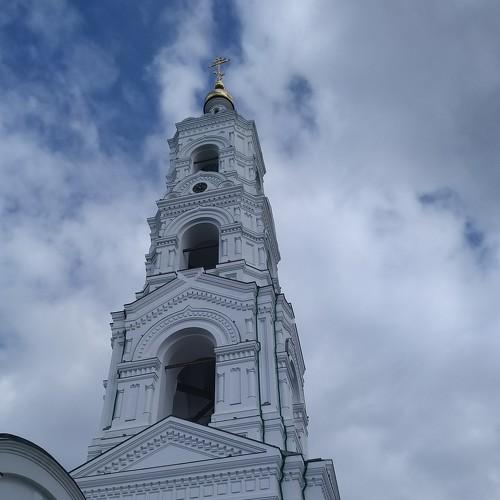 Photo #4510061