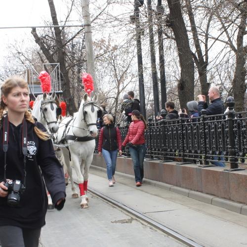 Photo #4510182