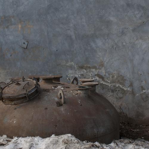 Photo #4510260
