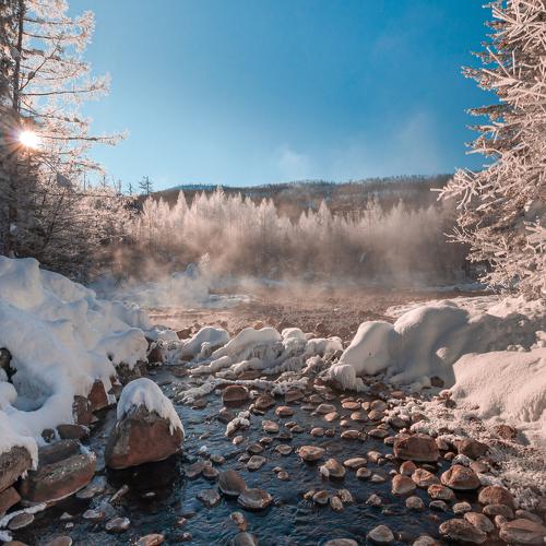 Photo #4510619