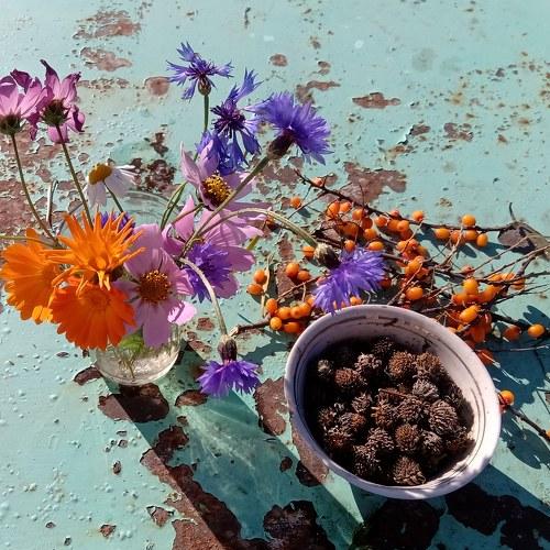Photo #4511098