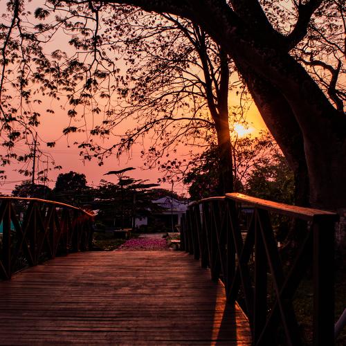 Photo #4511166