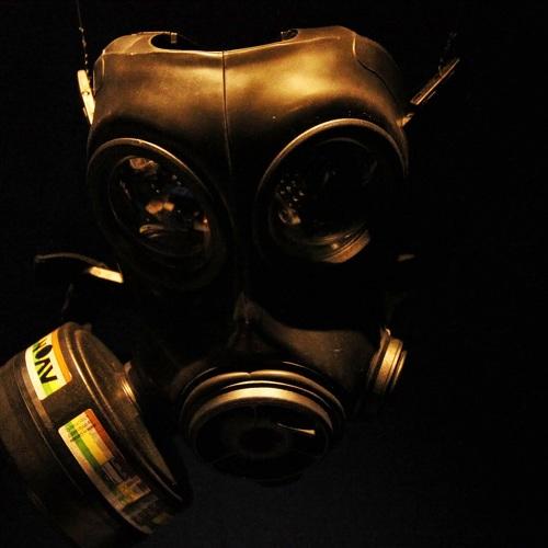 Photo #4511170