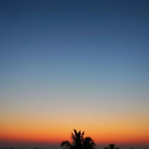 Photo #4511187