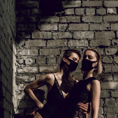 Photo #4511197