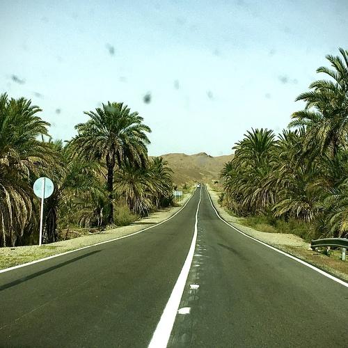 Photo #4511337