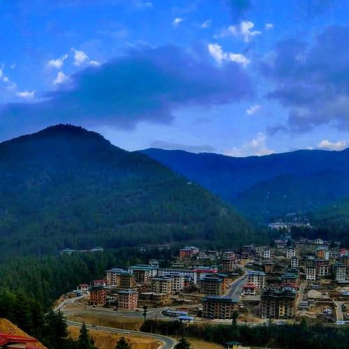 Photo #4511557