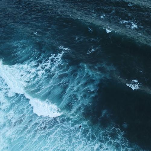 Photo #4511708