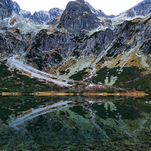Photo #4511722