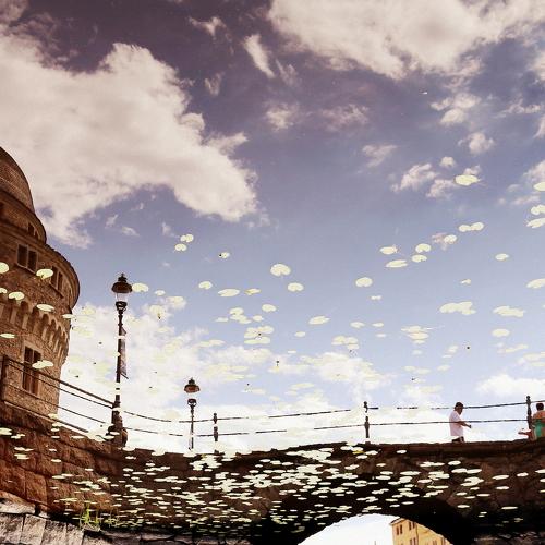 Photo #4511881
