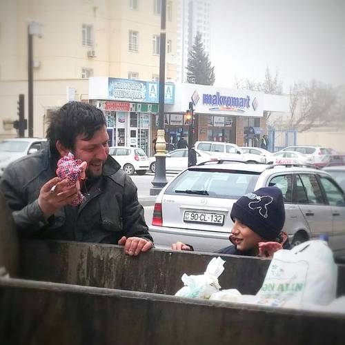 Photo #4511956