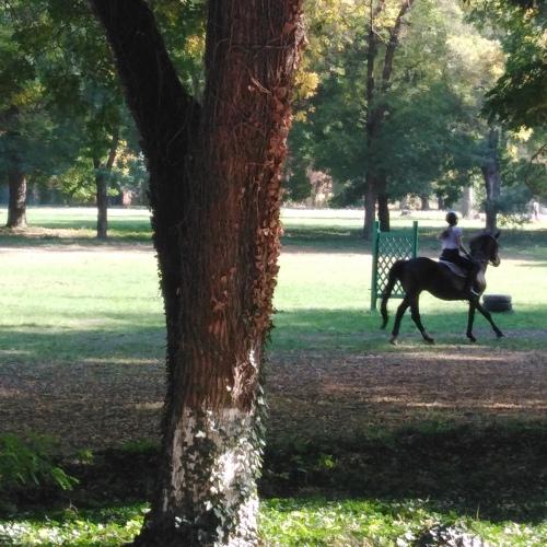Photo #4512028