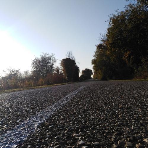 Photo #4512033