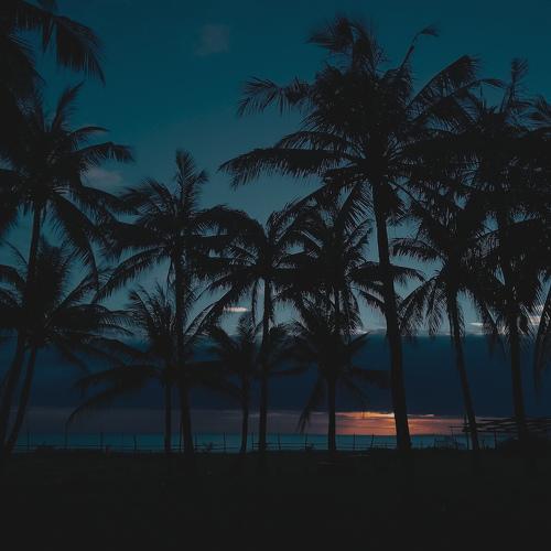 Photo #4512364