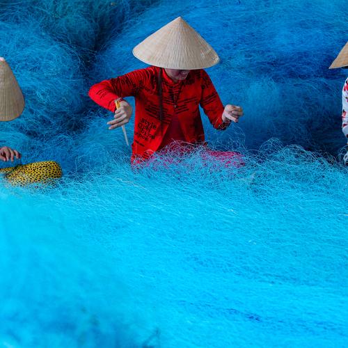 Photo #4512448
