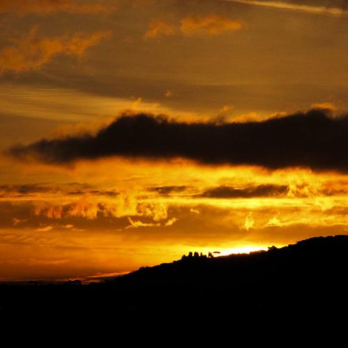 Photo #4512586