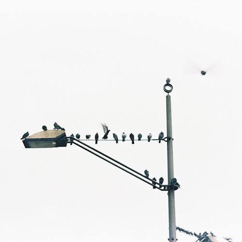 grey morning