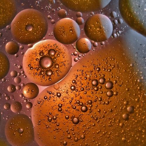 Photo #4512738