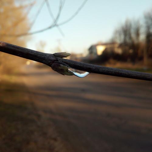 Photo #4512960