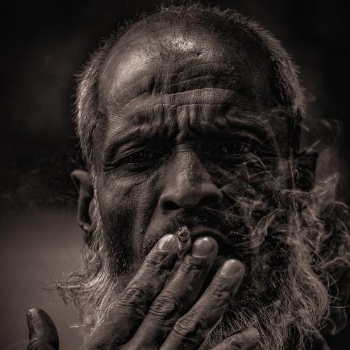 Photo #4512975