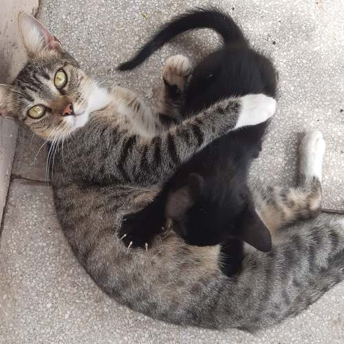 Loving and caring