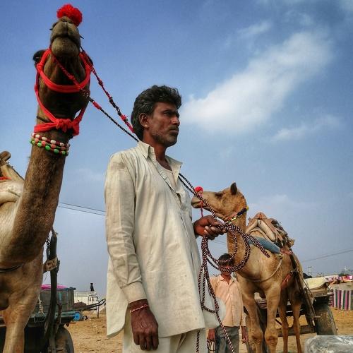 Photo #4513353