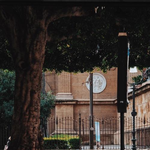 Photo #4513403