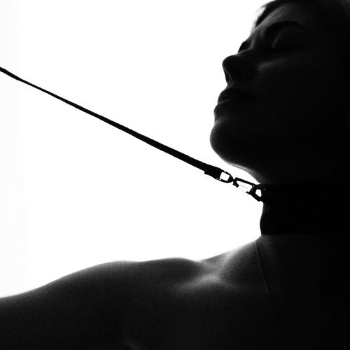 Photo #4513409