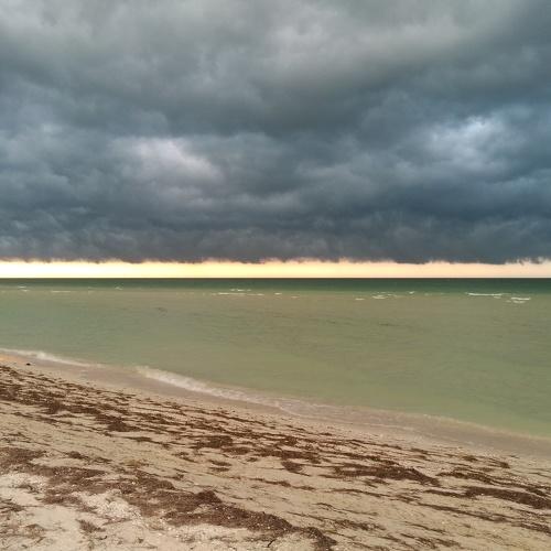 Photo #4513702