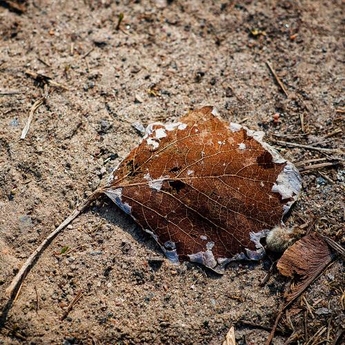 Photo #4513827