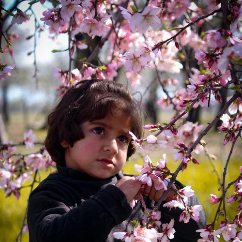 Photo #4513918