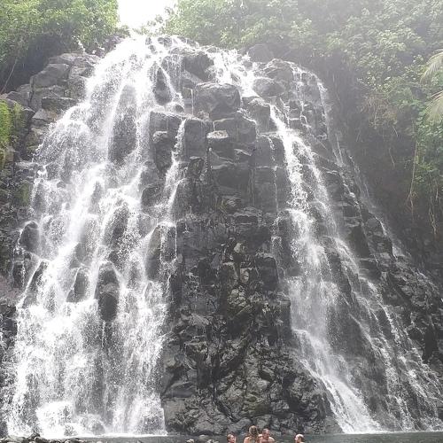 Photo #4516094